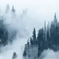 fotomural-de-paisaje-bosque-con-niebla-437365860