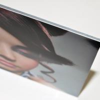 <b><u>FOTOS EN ALUMINIO DIBOND 30X20</u></b>